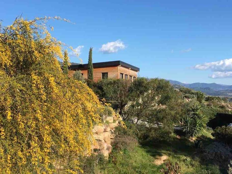 Vila Casa Turrigiani Sagone  Exteriér fotografie