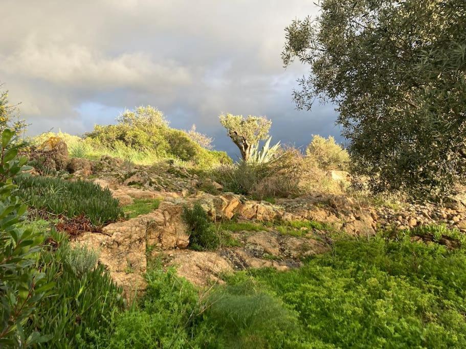 Vila Casa Turrigiani Sagone  Exteriér fotografie