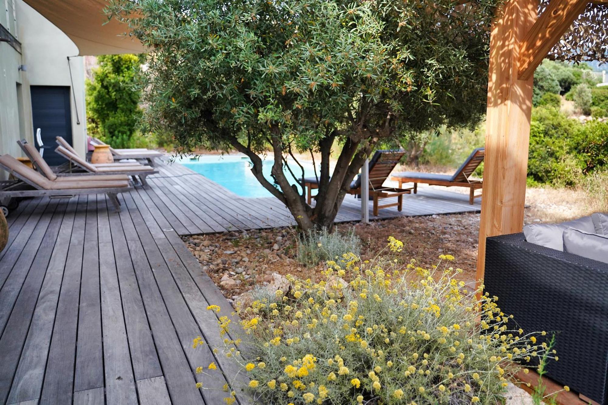 Vila Casa Turrigiani Sagone  Exteriér fotografie