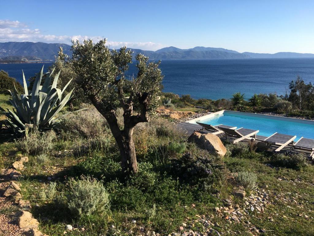 Vila Casa Turrigiani Sagone  Exteriér fotografie