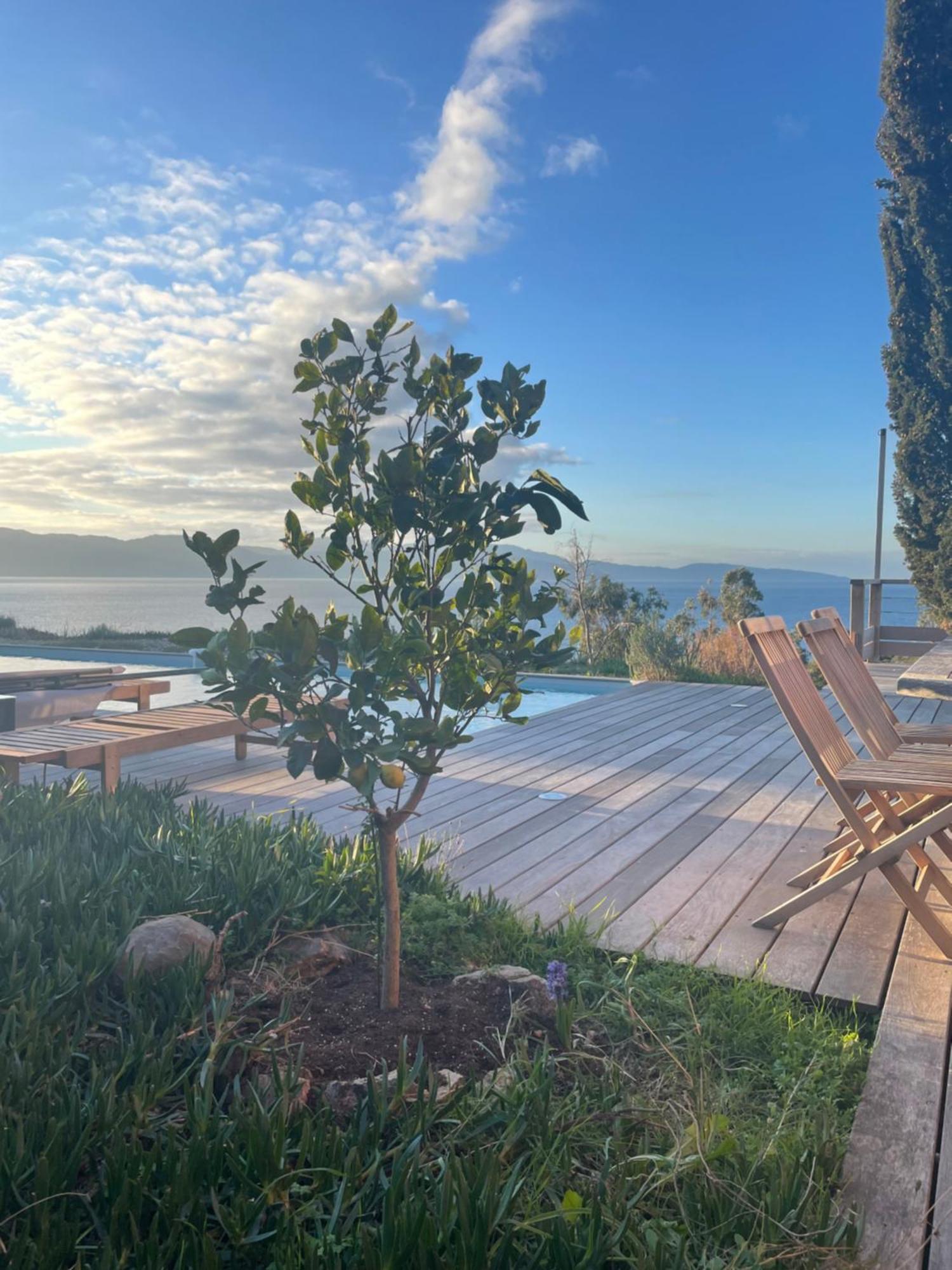 Vila Casa Turrigiani Sagone  Exteriér fotografie